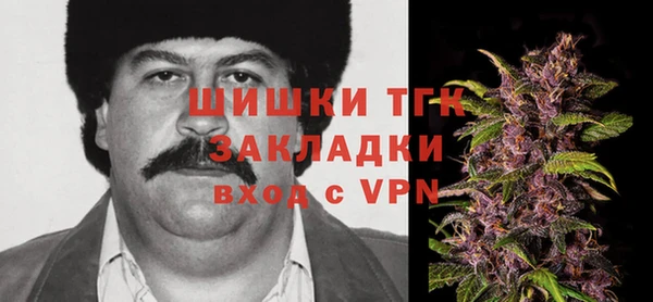 соль ск Богданович