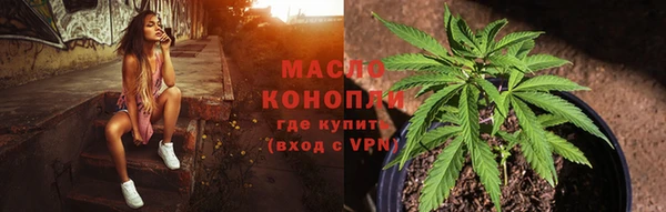 соль ск Богданович