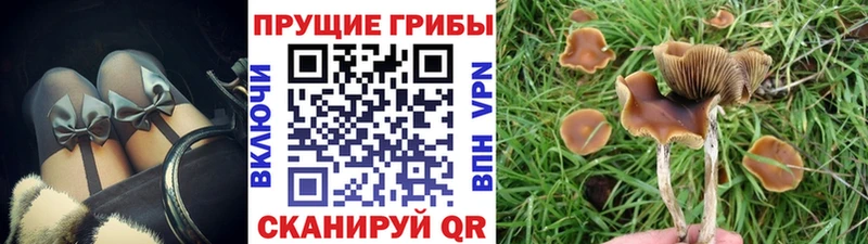 Псилоцибиновые грибы ЛСД  Казань 